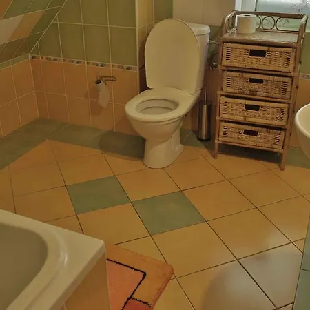 Guest house Ostruznik *